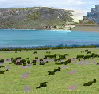 Cruise Ship Excursion Stanley - Mackay Tourism
