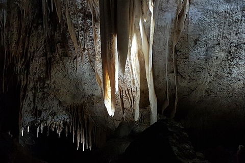 Shore Excursion: Coast, Caves And Wildlife Park - 8 Hour Tour - Mackay Tourism 10