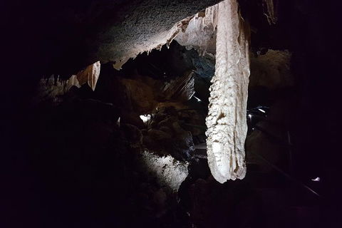 Shore Excursion: Coast, Caves And Wildlife Park - 8 Hour Tour - Mackay Tourism 12