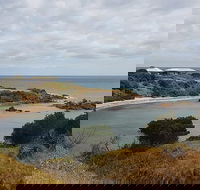 Shore Excursion Coast Caves and Wildlife Park - 8 hour tour - Mackay Tourism