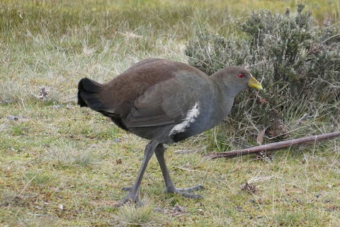 Shore Excursion: Coast, Caves And Wildlife Park - 8 Hour Tour - Mackay Tourism 2