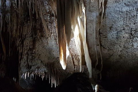 Shore Excursion: Coast, Caves And Wildlife Park - 8 Hour Tour - Mackay Tourism 7