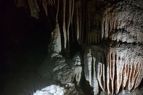 Shore Excursion: Coast, Caves And Wildlife Park - 8 Hour Tour - Mackay Tourism 8