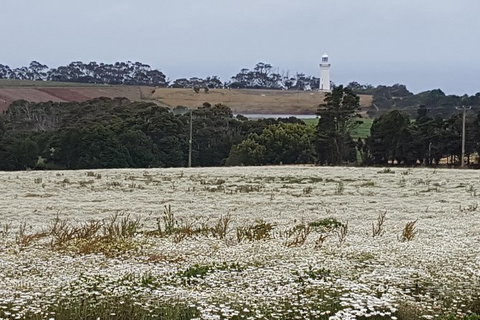 Cruise Ship Excursion: NW Tassie Coastal Explorer - Mackay Tourism 14