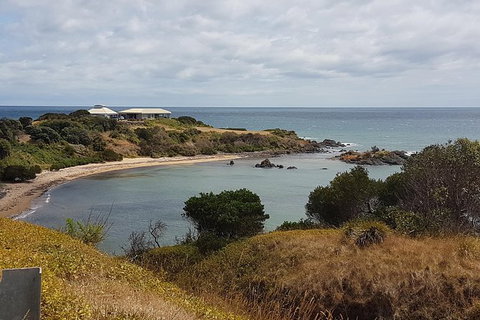 Cruise Ship Excursion: NW Tassie Coastal Explorer - Mackay Tourism 13
