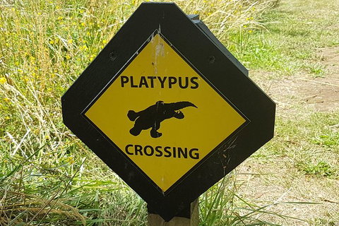 Cruise Ship Excursion: NW Tassie Coastal Explorer - Mackay Tourism 11