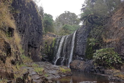 Cruise Ship Excursion: NW Tassie Coastal Explorer - Mackay Tourism 16