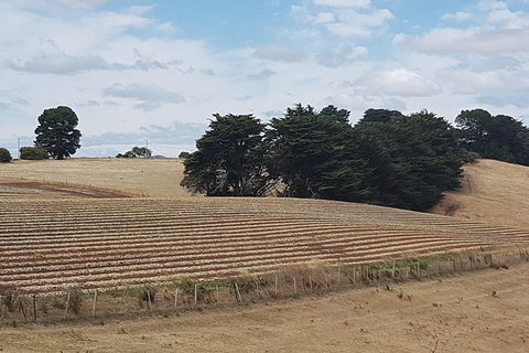 Cruise Ship Excursion: NW Tassie Coastal Explorer - Mackay Tourism 9