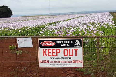 Cruise Ship Excursion: NW Tassie Coastal Explorer - Mackay Tourism 10