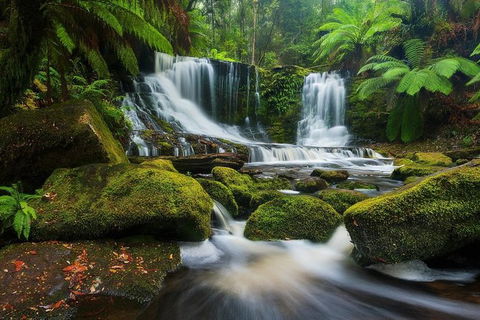 Mount Field Private Charter Service - Mackay Tourism 3