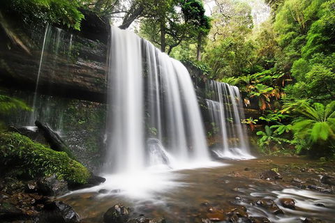 Mount Field Private Charter Service - Mackay Tourism 1