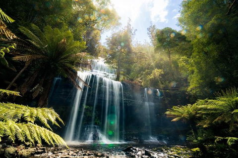 Mount Field Private Charter Service - Mackay Tourism 2