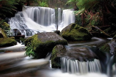 Highlights Of Tasmania Premium Small Group 7 Days Touring Package - Mackay Tourism 7