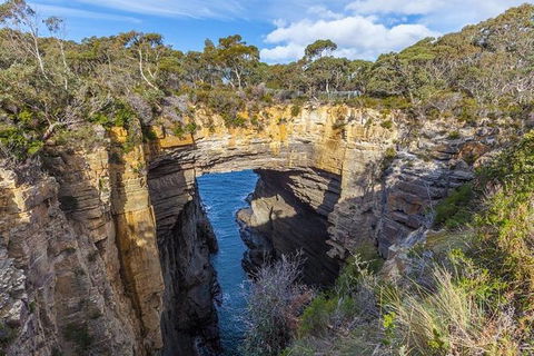 Highlights Of Tasmania Premium Small Group 7 Days Touring Package - Mackay Tourism 10