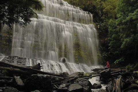 Highlights Of Tasmania Premium Small Group 7 Days Touring Package - Mackay Tourism 13