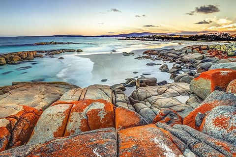 Highlights Of Tasmania Premium Small Group 7 Days Touring Package - Mackay Tourism 12