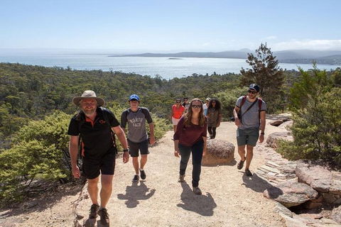 Half-Day Tour To Wineglass Bay From Launceston With Guide - Mackay Tourism 4