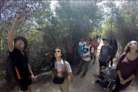 Half-Day Tour To Wineglass Bay From Launceston With Guide - Mackay Tourism 1
