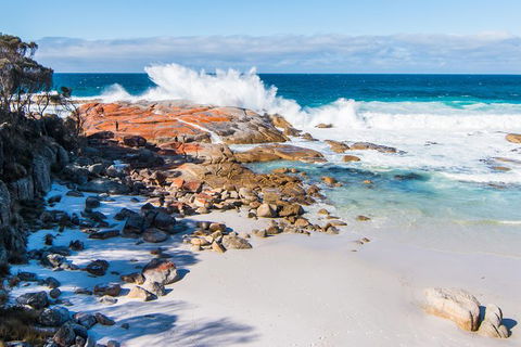 2-Day Tas East Coast Escape Tour Including Bay Of Fires, Wineglass Bay & Devils - Mackay Tourism 6