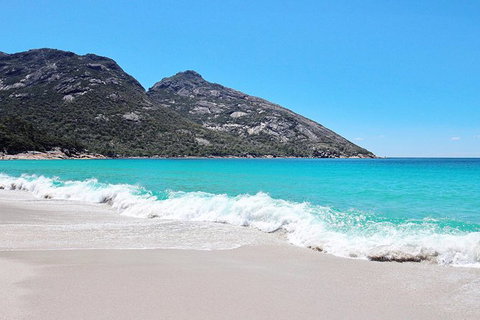 Sea & Explore Wineglass Bay & Freycinet National Park - Cruise & Walk - Mackay Tourism 4