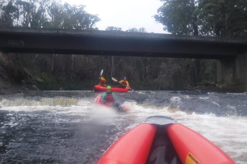 Twin Rivers Winter Adventure - Mackay Tourism 4