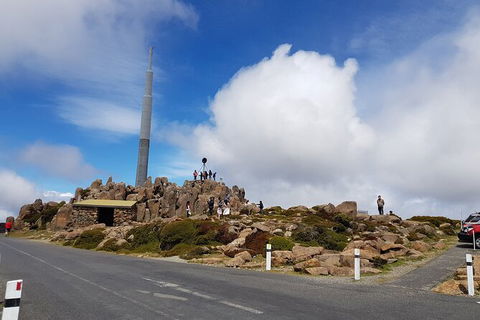 Mt. Wellington Morning Hike + Afternoon Beer & History Walk - Mackay Tourism 21