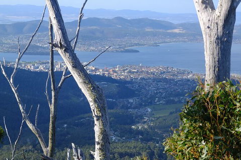 Mt. Wellington Morning Hike + Afternoon Beer & History Walk - Mackay Tourism 10