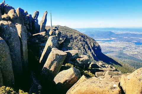 Mt. Wellington Morning Hike + Afternoon Beer & History Walk - Mackay Tourism 11