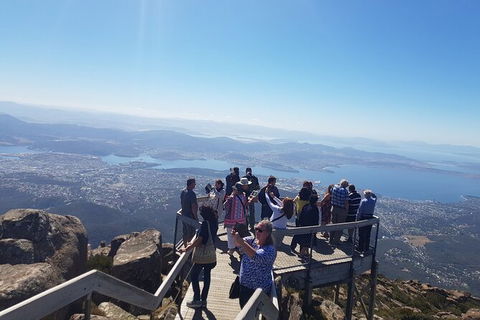 Mt. Wellington Morning Hike + Afternoon Beer & History Walk - Mackay Tourism 2
