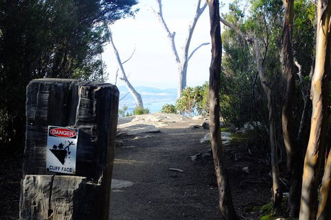 Mt. Wellington Morning Hike + Afternoon Beer & History Walk - Mackay Tourism 14