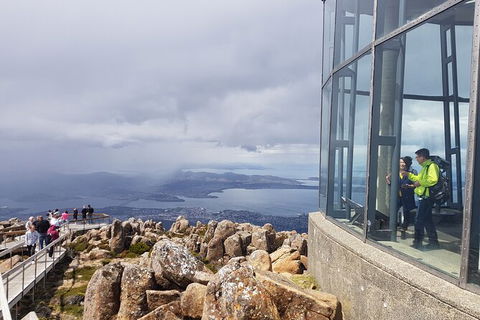 Mt. Wellington Morning Hike + Afternoon Beer & History Walk - Mackay Tourism 12