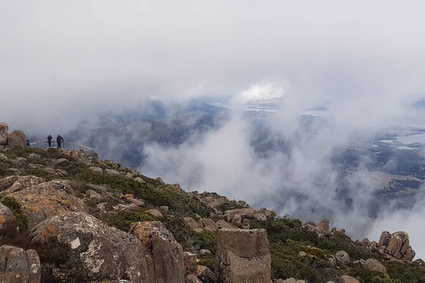 Mt. Wellington Morning Hike + Afternoon Beer & History Walk - Mackay Tourism 18