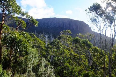 Mt. Wellington Morning Hike + Afternoon Beer & History Walk - Mackay Tourism 4