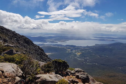Mt. Wellington Morning Hike + Afternoon Beer & History Walk - Mackay Tourism 5