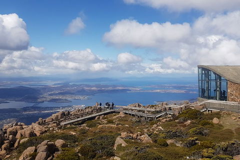 Mt. Wellington Morning Hike + Afternoon Beer & History Walk - Mackay Tourism 3