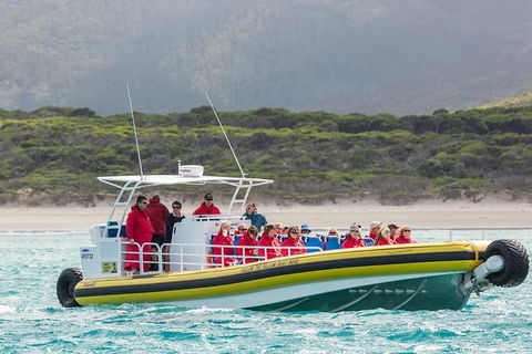 Wilsons Promontory Wilderness Cruise From Tidal River - Mackay Tourism 2