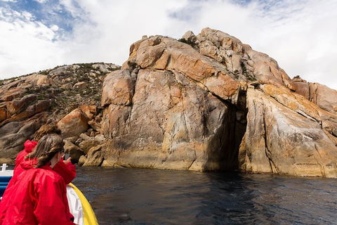 Wilsons Promontory Wilderness Cruise From Tidal River - Mackay Tourism 4