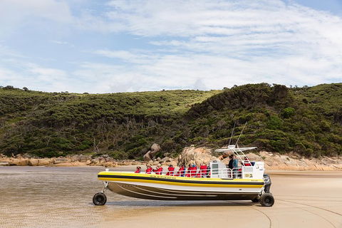 Wilsons Promontory Wilderness Cruise From Tidal River - Mackay Tourism 1