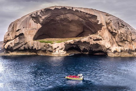Wilsons Promontory Wilderness Cruise From Tidal River - Mackay Tourism 0