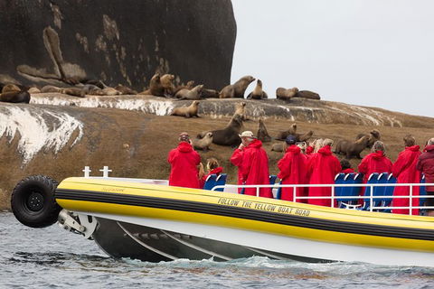 Wilsons Promontory Wilderness Cruise From Tidal River - Mackay Tourism 3