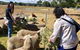 Feed The Animals At Heritage Farm - thumb 3