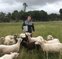 Feed the Animals at Heritage Farm - Mackay Tourism