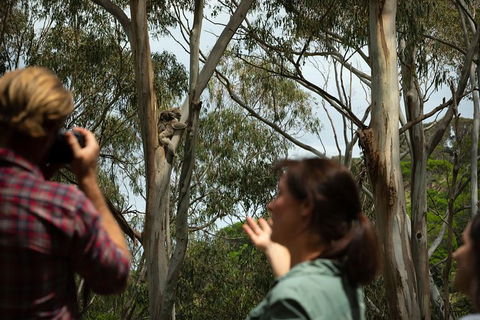 Indigenous Culture And Nature Tour - Mackay Tourism 2