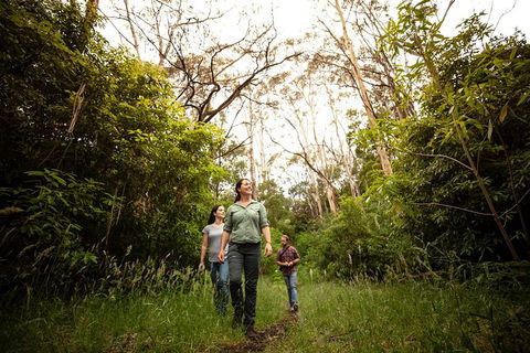 Indigenous Culture And Nature Tour - Mackay Tourism 6