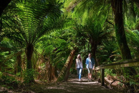 The Great Ocean Road 1 Day Private Sunset Tour - Mackay Tourism 1