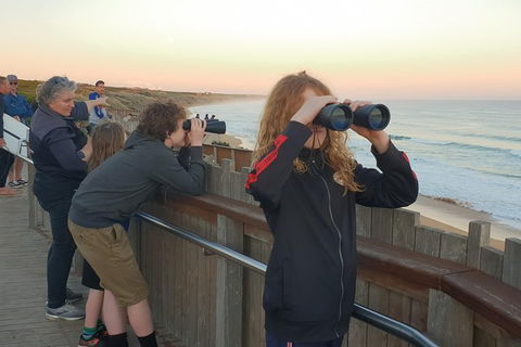 Warrnambool Wanderer Tour - Mackay Tourism 2