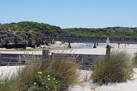 Warrnambool Wanderer Tour - Mackay Tourism 3