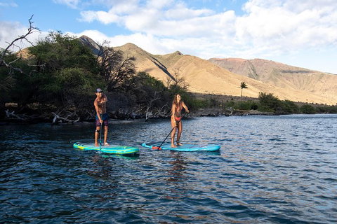 Stand Up Paddle Boarding Hire - Mackay Tourism 2