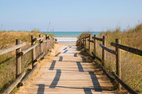 Cruise Ship Shore Excursion - Private Great Ocean Road Full Day Tour (12 Hour) - Mackay Tourism 0