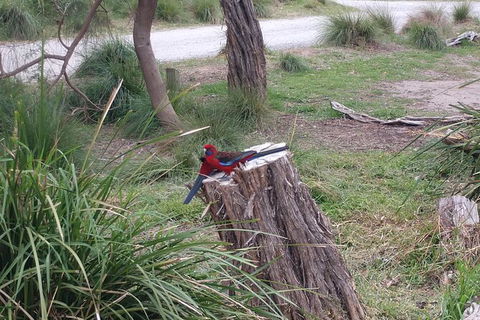 Wilsons Promontory Brainstorming Escape - Mackay Tourism 5